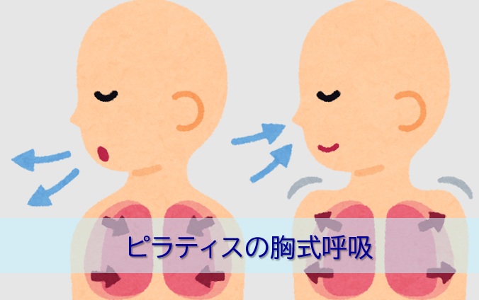 ピラティスの胸式呼吸